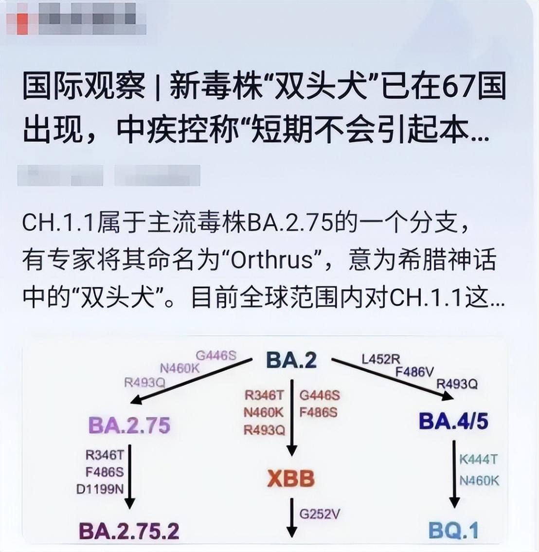 “最新专家预测2023年疫情” 专家预言疫情？-第3张图片