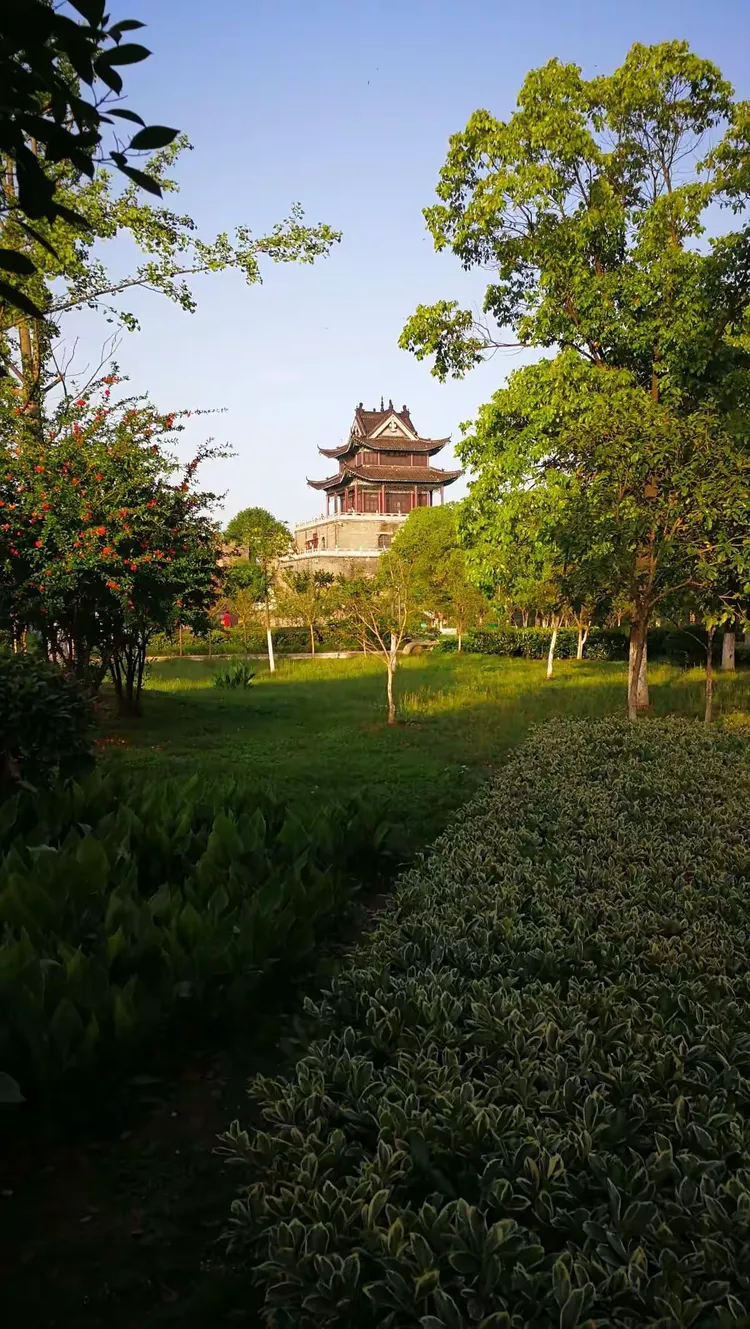 玩家必读“楚天游开挂神器	”开挂(透视)辅助-第1张图片