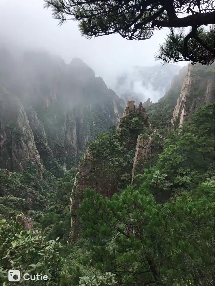 一键必胜“黄山麻将有挂吗”开挂辅助脚本+详细开挂安装教程-第1张图片