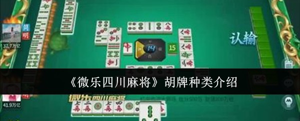 使用分享!微信微乐河北麻将开挂下载安装”开挂(透视)辅助教程-第2张图片