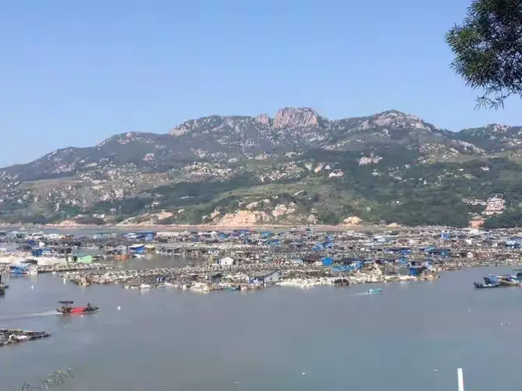 万能开挂辅助“一起宁德钓蟹有挂什么手机	”太坑人了,真的有挂-第2张图片