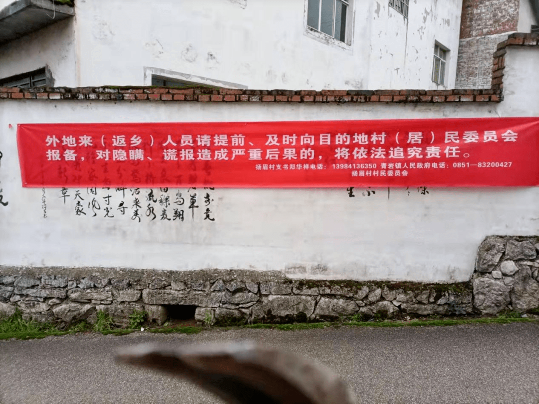 31省市最新返乡政策一览.各省市返乡规定-第1张图片