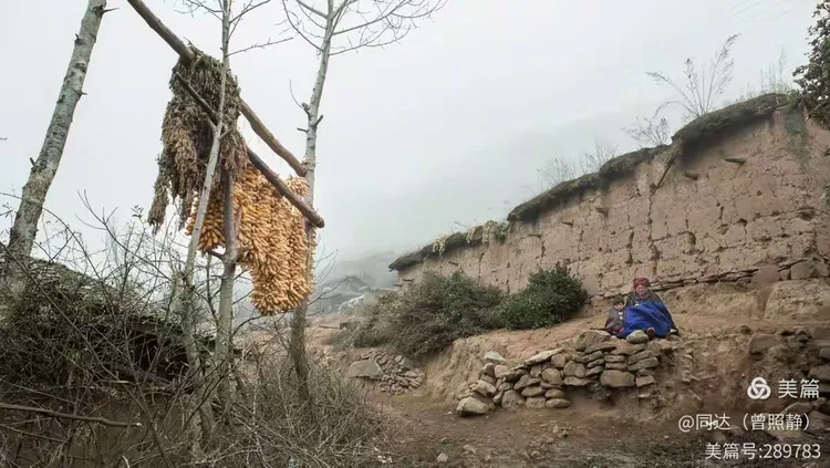 实测教程“大凉山生活号可以开挂吗”透视挂!详细分享装挂步骤-第2张图片