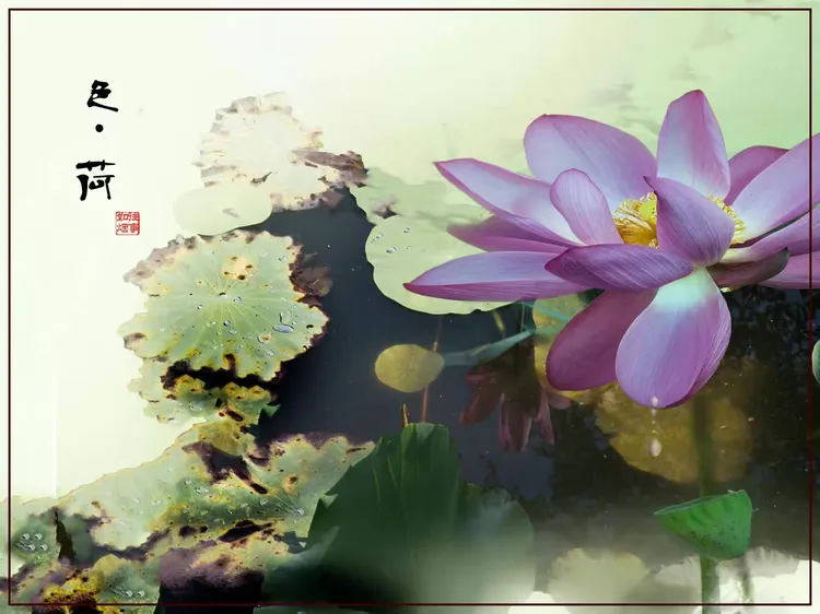 分享实测辅助“黄金海岸麻将开挂教程”开挂(透视)辅助-第2张图片