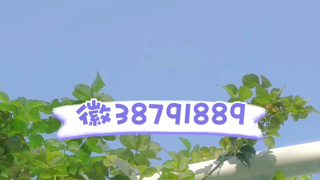 教程分享“随意玩斗牛开挂(辅助神器)开挂详细教程-第1张图片
