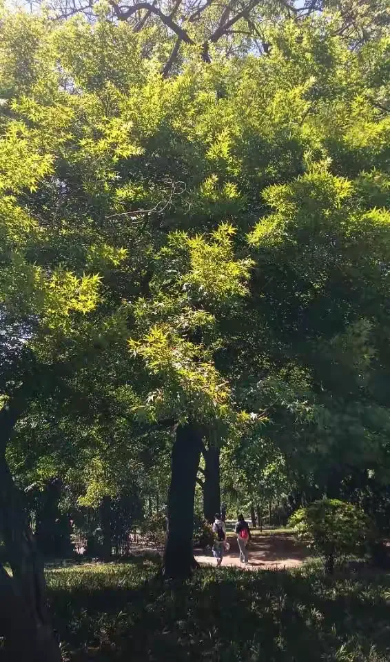 教程辅助!“智星德州菠萝辅助开挂透视脚本	”科技辅助神器手机-第1张图片