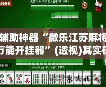 教程开挂辅助“微乐北京麻将开挂神器下载	”(透视挂)辅助透视教程-第3张图片