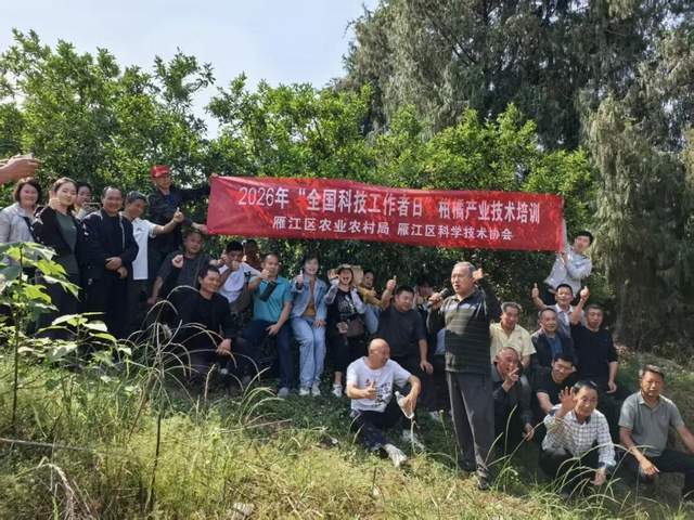 2026首发科技“微乐掼蛋有挂吗	”详细开挂教程-第2张图片