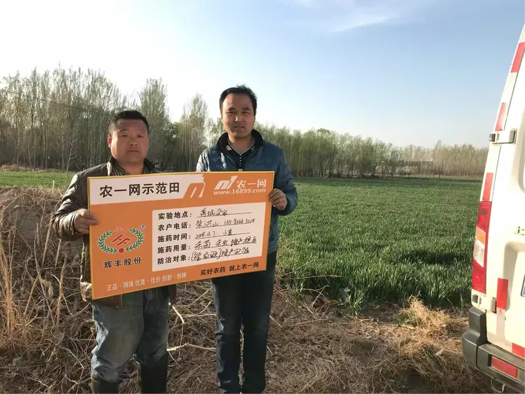 一键必胜“金花外卦神器下载”详细透视教程-第2张图片