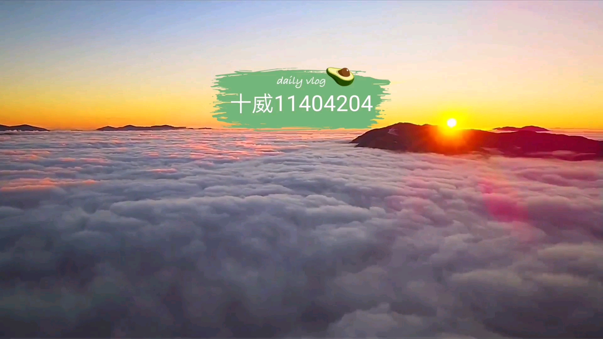 [教程经验]“雀神广东麻将必胜软件免费”(透视)开挂辅助脚本+详细开挂安装教程-第1张图片