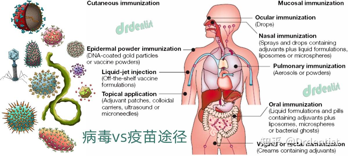 疫情在8月彻底结束,8月疫情结束时间-第1张图片