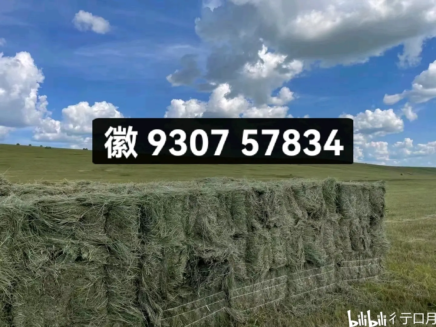 实测分享“微信链接拼三张透视挂”开挂(透视)辅助神器-第2张图片
