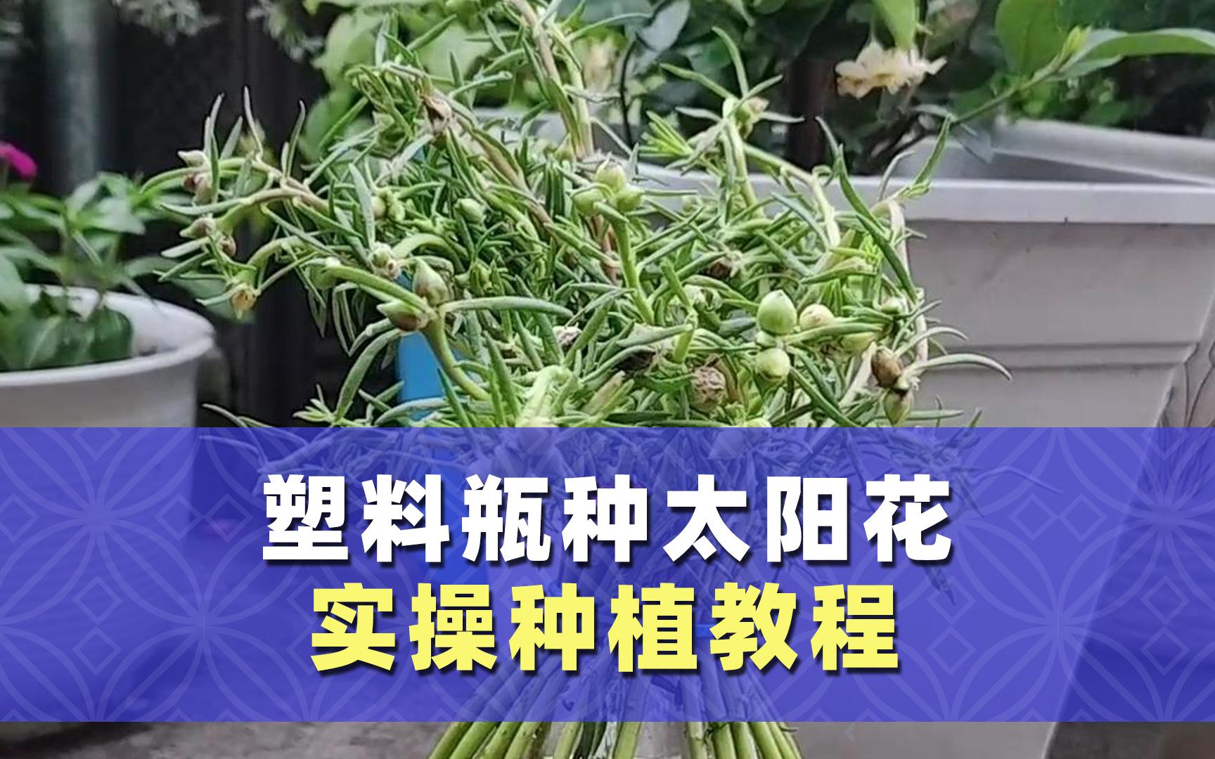 实操教程“花城牌舍透视挂”科技辅助神器手机版教程-第1张图片