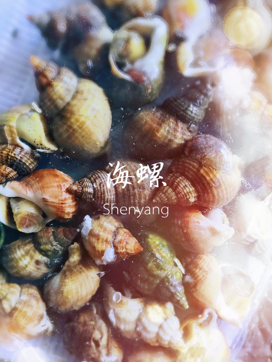 3分钟教程“海螺众娱拼三张的透视辅助	”详细分享装挂步骤教程-第2张图片