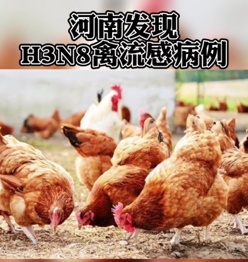 中山疫情最新情况︰(中山疫情最新消息今天新增了15例)-第1张图片