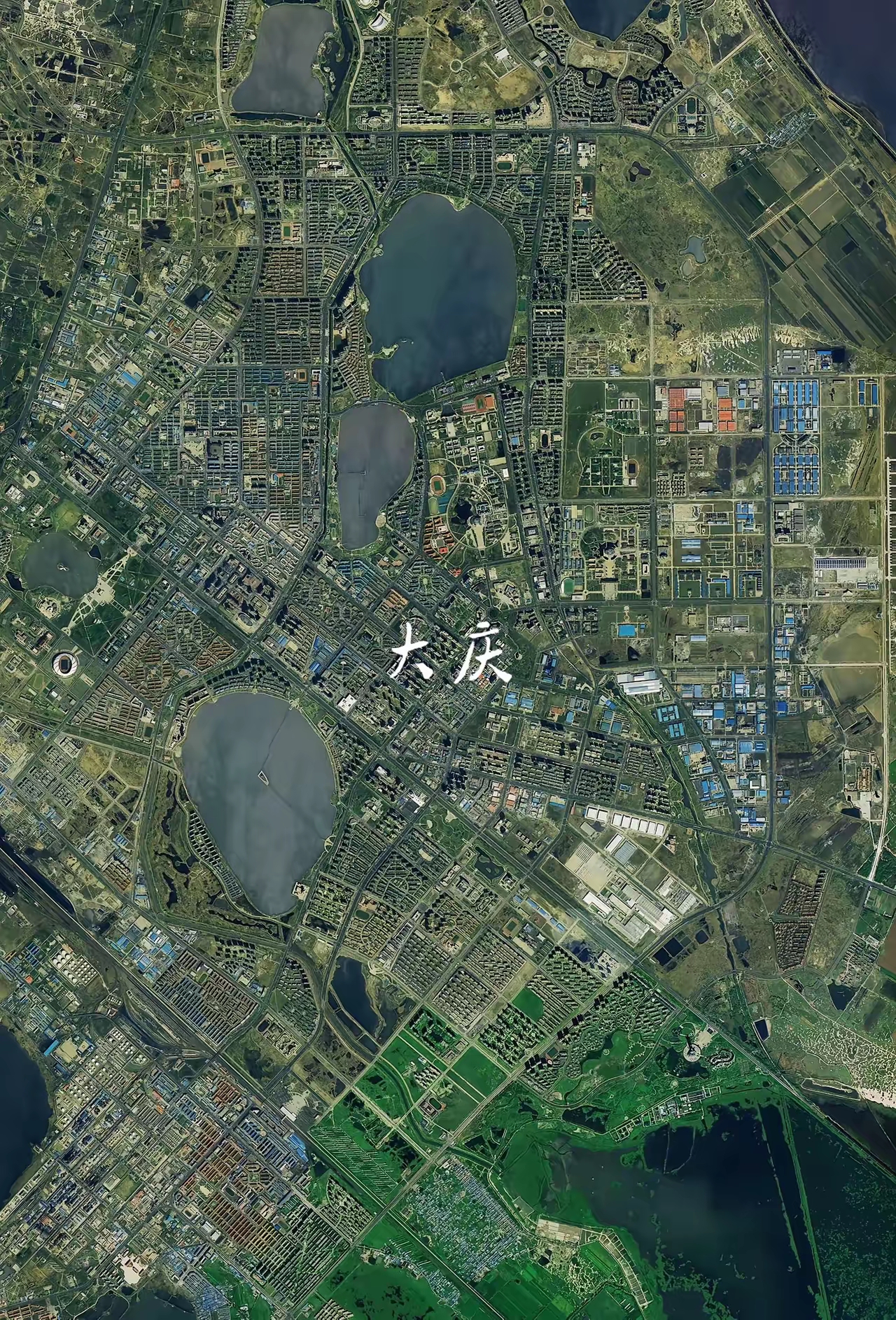 【黑龙江新增本土确诊15例/黑龙江新增5例本土确诊病例轨迹】-第2张图片
