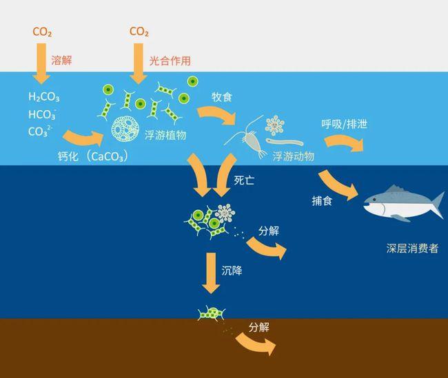 科普实测“微乐北京麻将的胜率提高方法	”助赢开挂器（安装教程）-第2张图片