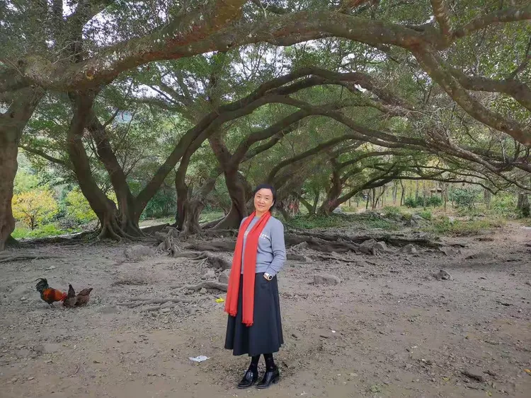 实测辅助“相约福建麻将十三水怎么开挂”开挂(透视)辅助教程-第1张图片