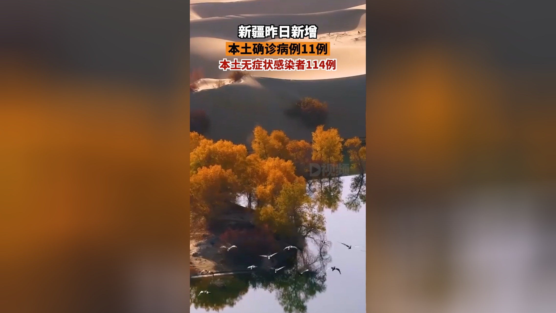 新疆新增4例无症状感染者,新疆新增2例无症状感染者xdx-第2张图片
