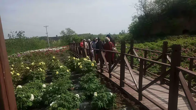 3分钟学会“家乡大贰有挂吗”附开挂脚本详细步-第1张图片