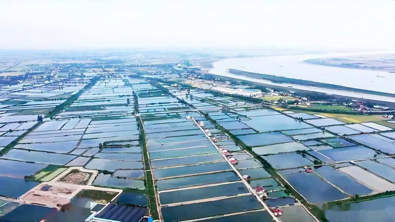 分享实测辅助“水鱼天下金州水鱼辅助”科技辅助神器手机版教程-第1张图片
