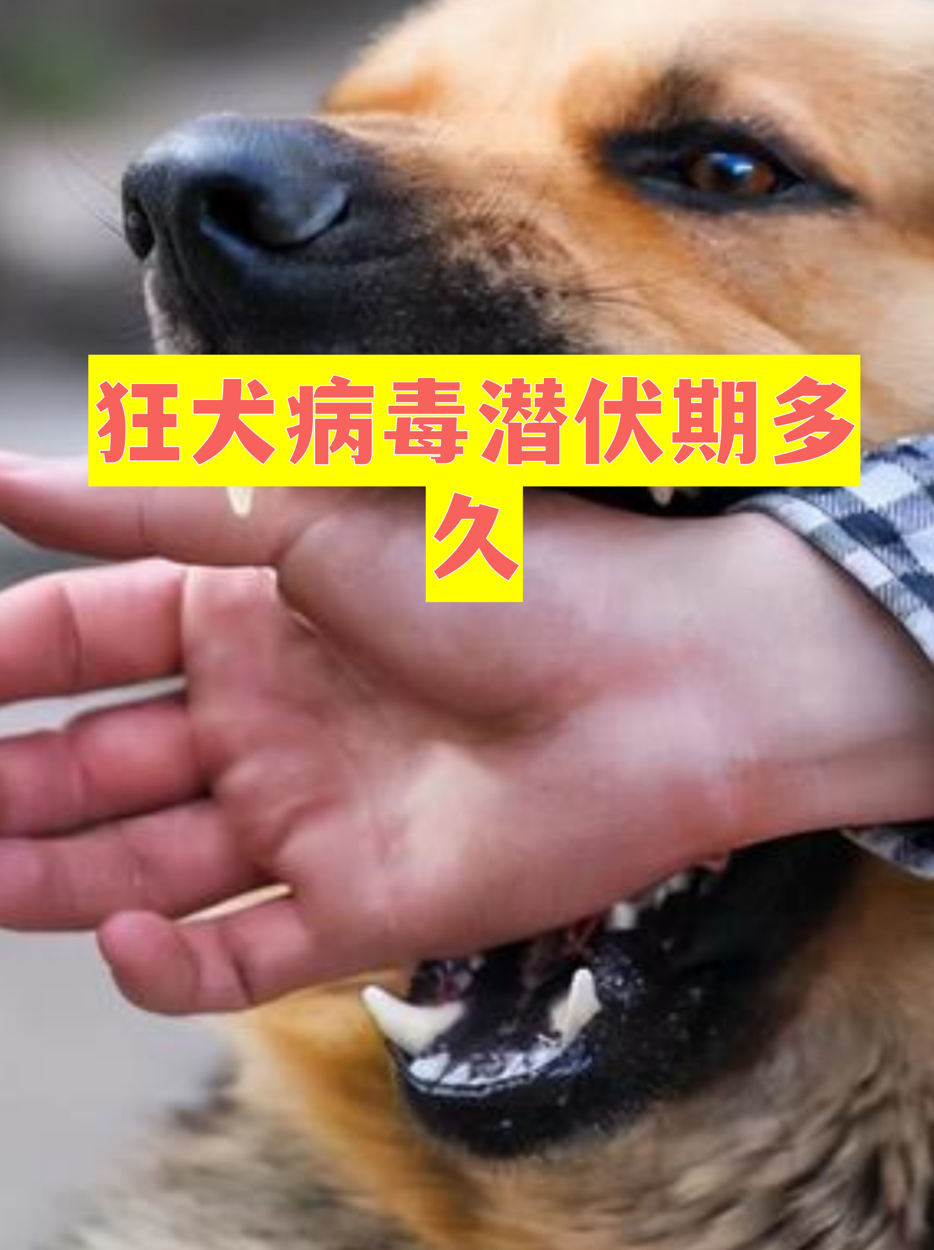 病毒10天内传五六代-病毒被传染了几天发作?-第1张图片