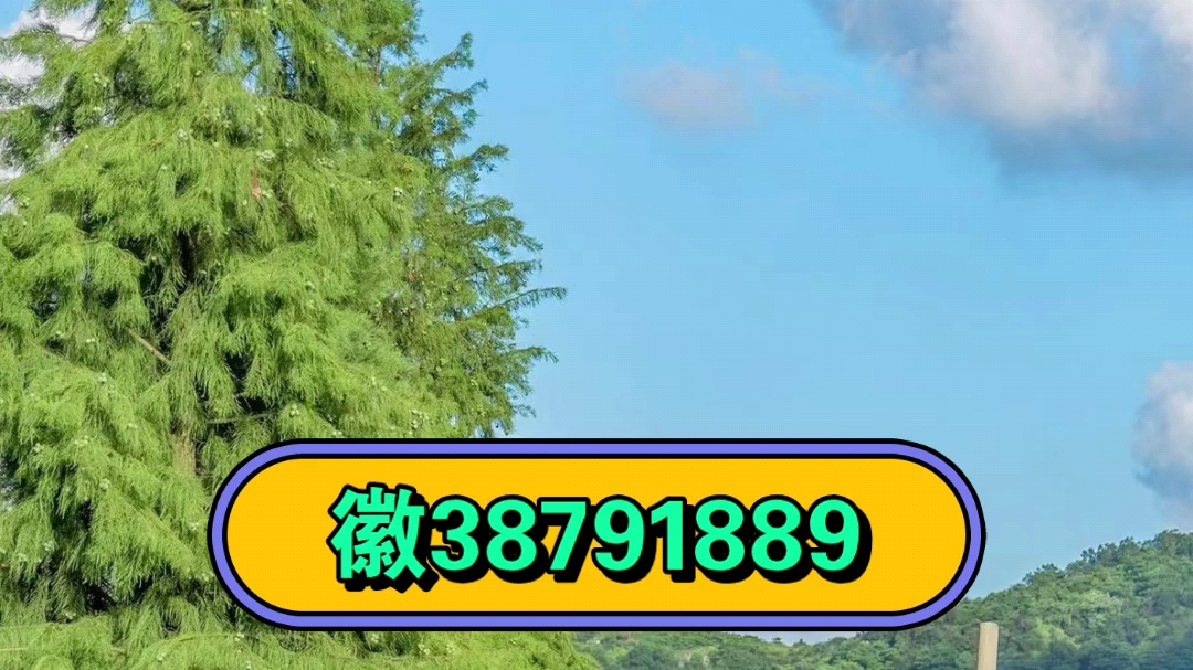 玩家必搜“榕城510k辅助挂下载”(透视)开挂辅助脚本+详细开挂安装教程-第1张图片