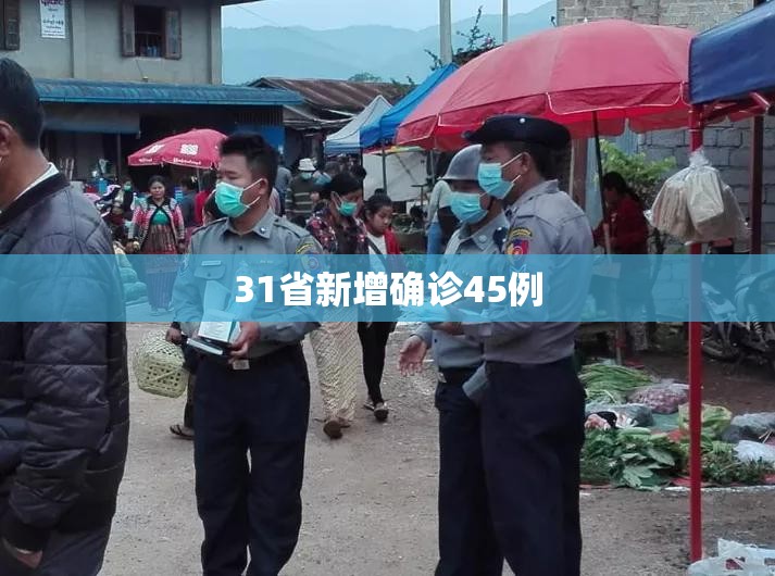 31省区市新增确诊24例.31省区市新增确诊22例新闻-第2张图片