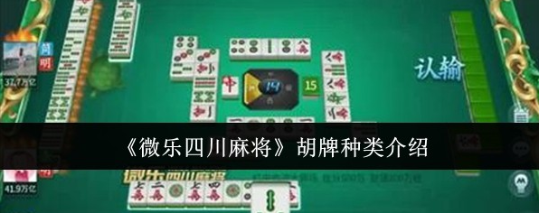 玩家必备“微乐安徽麻将开挂游戏软件	”必赢神器通用版-第2张图片