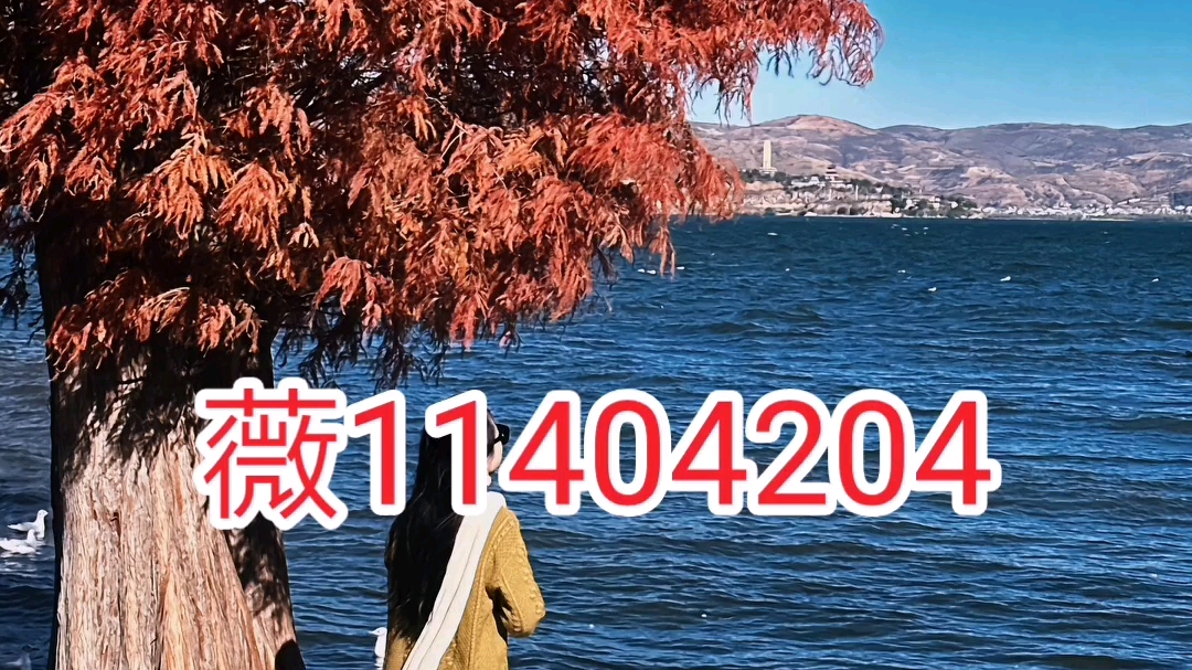 开挂辅助工具“小程序广东雀神麻将必赢神器(辅助神器)开挂详细教程-第1张图片
