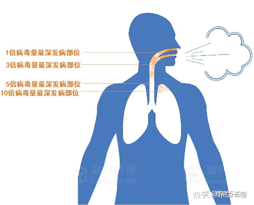 【上海感染者累计超15万/上海多少人感染新病毒】-第1张图片