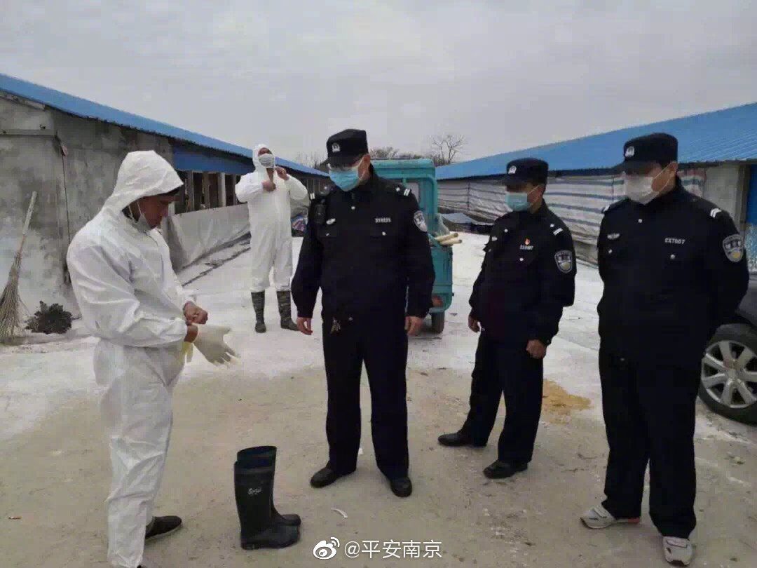 南京最新疫情最新消息〃南京最新疫情最新消息-第2张图片