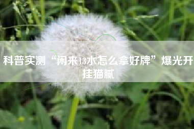 实测开挂辅助：“衢州都莱双扣辅助器是真是假”附开挂脚本详细-第1张图片