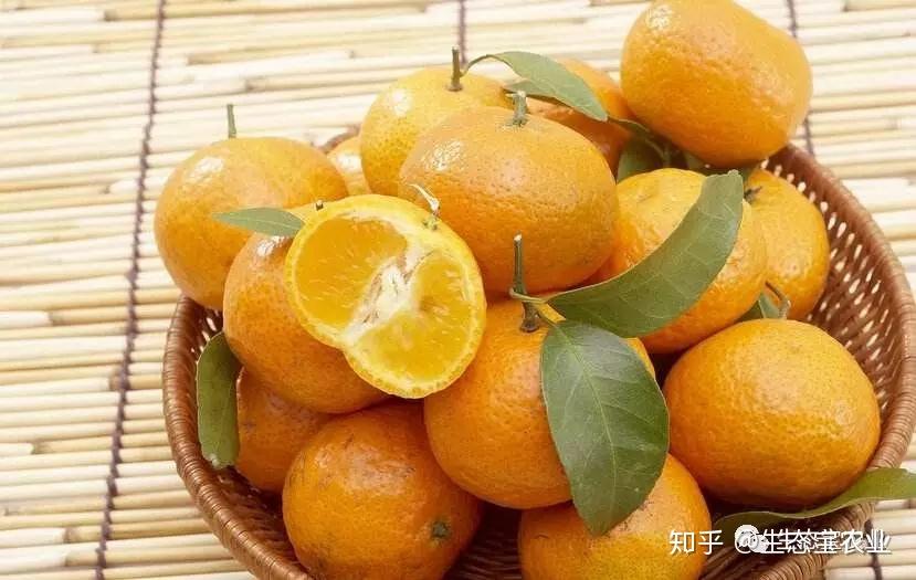 3分钟学会“家家乐牌吧可以开挂吗”详细分享装挂步骤教程-第1张图片