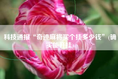 教程分享“哈灵麻将必赢神器软件”附开挂脚本详细步骤-第2张图片