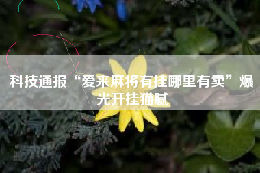 教程分享“哈灵麻将必赢神器软件”附开挂脚本详细步骤-第1张图片