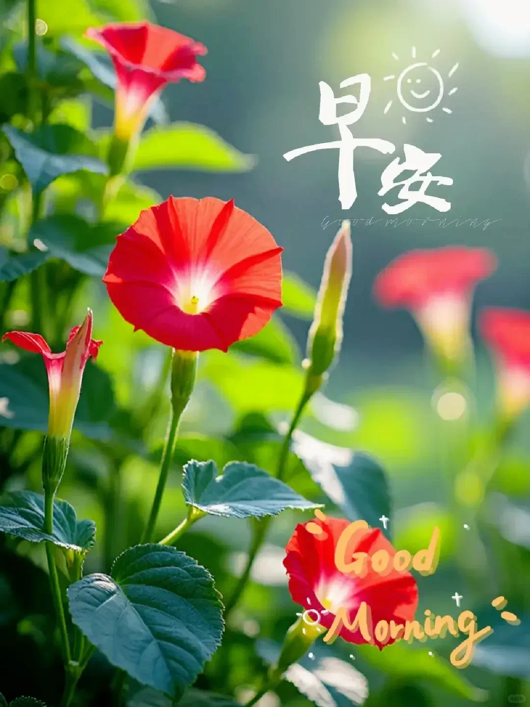 今日必看教程“微乐三代必赢辅助器免费安装”详细分享装挂-第2张图片