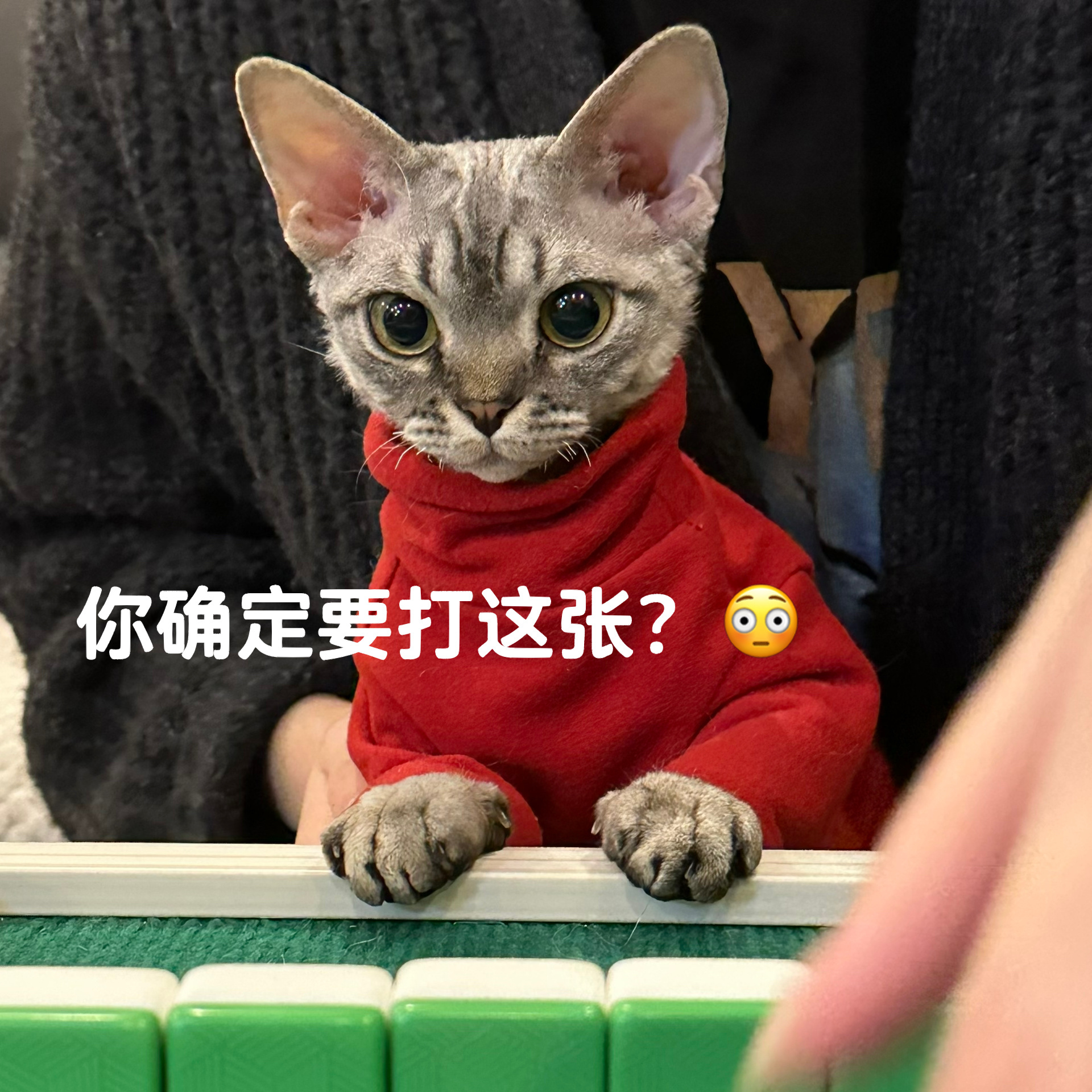 推荐必备“手机上打麻将外卦神器下载安装	”助赢开挂器（安装教程）-第2张图片