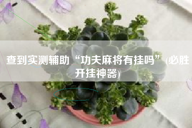 [教程经验]“海讯麻将开挂神器软件”开挂辅助脚本+详细开挂安装教程-第1张图片