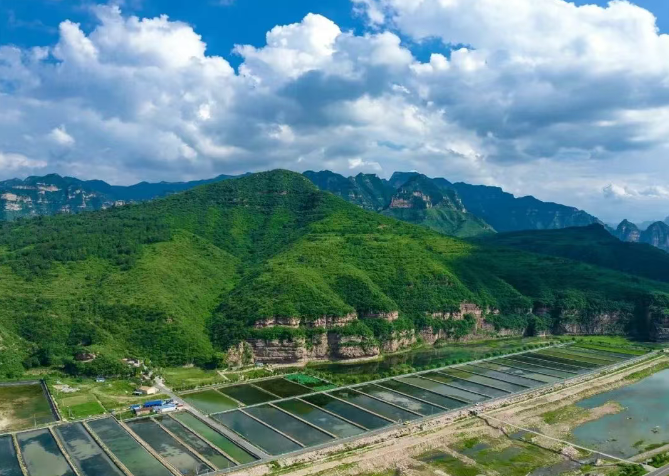 实测辅助“太行麻将开挂最佳方法	”(作弊)辅助透视教程-第2张图片