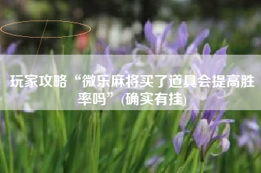 必看科普“微乐家乡麻将开挂怎么开”万能开挂器（确实有挂）-第2张图片