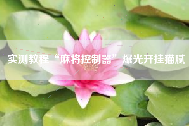 推荐一款“开心泉州麻将开挂器通用版	”开挂通用版（必备神器）-第2张图片